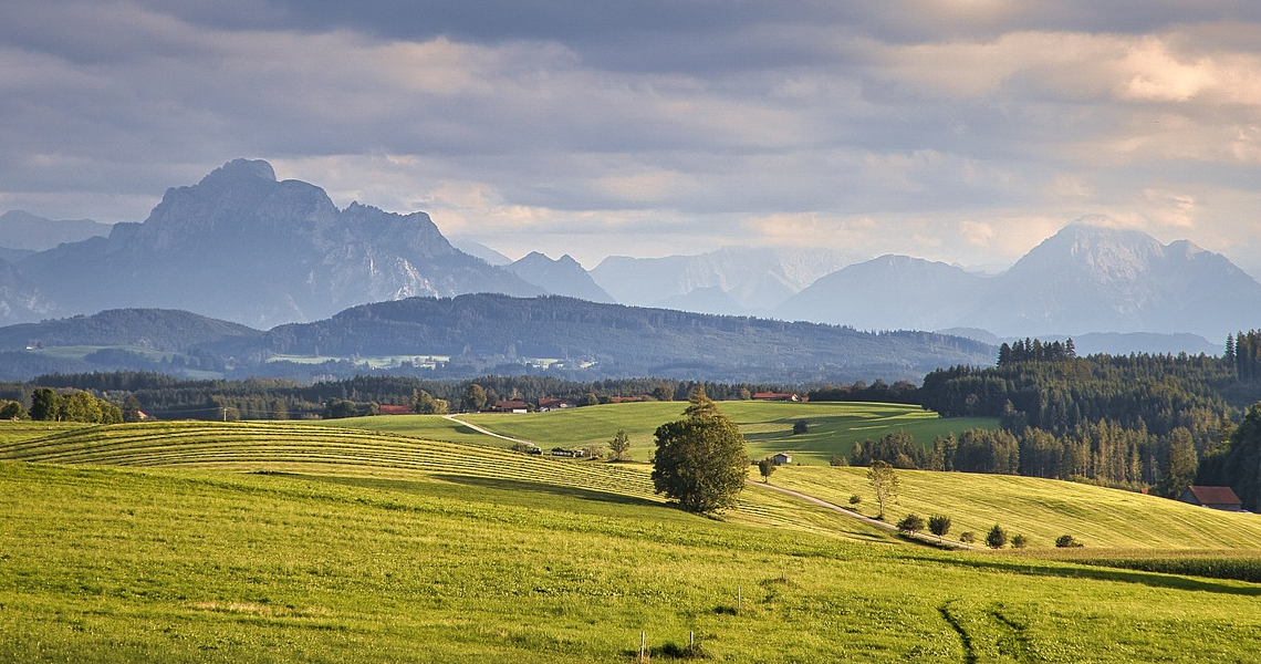 Arginine: Benefits, Uses, and Sources