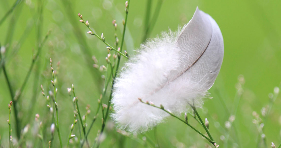 Understanding Underweight: What a BMI Below 18.5 Means for Your Health