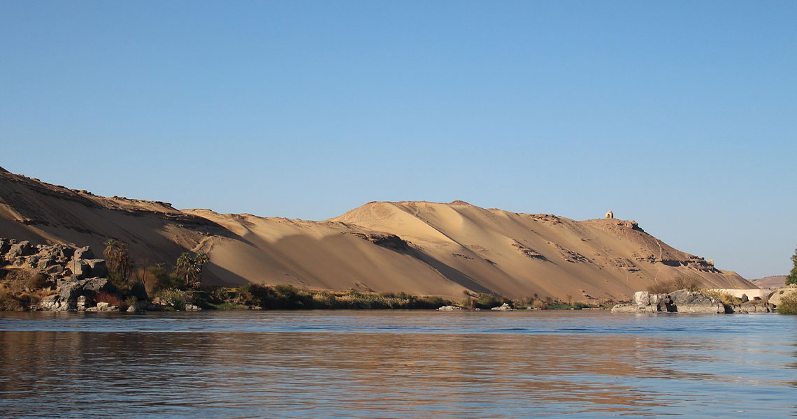 West Nile Virus: Symptoms, Risks, and How to Stay Safe