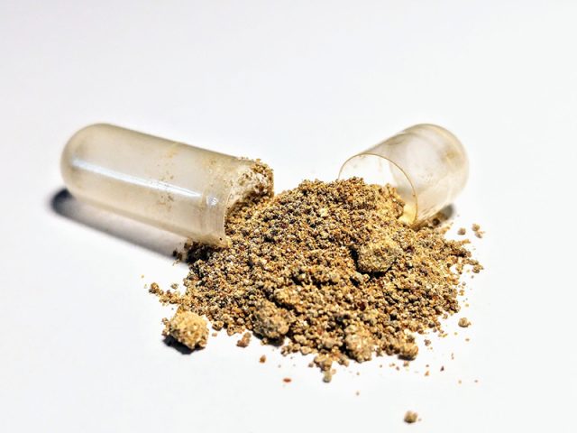 Ashwagandha: Ancient Root, Modern Remedy – A Deep Dive into the Science, History, and Hype